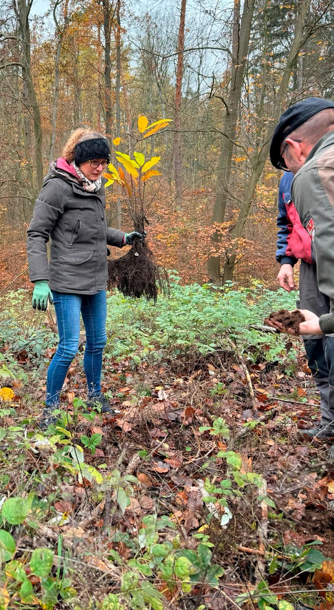 Ganz persönlich: Waldumbau ist eine Generationenaufgabe für den Klimaschutz